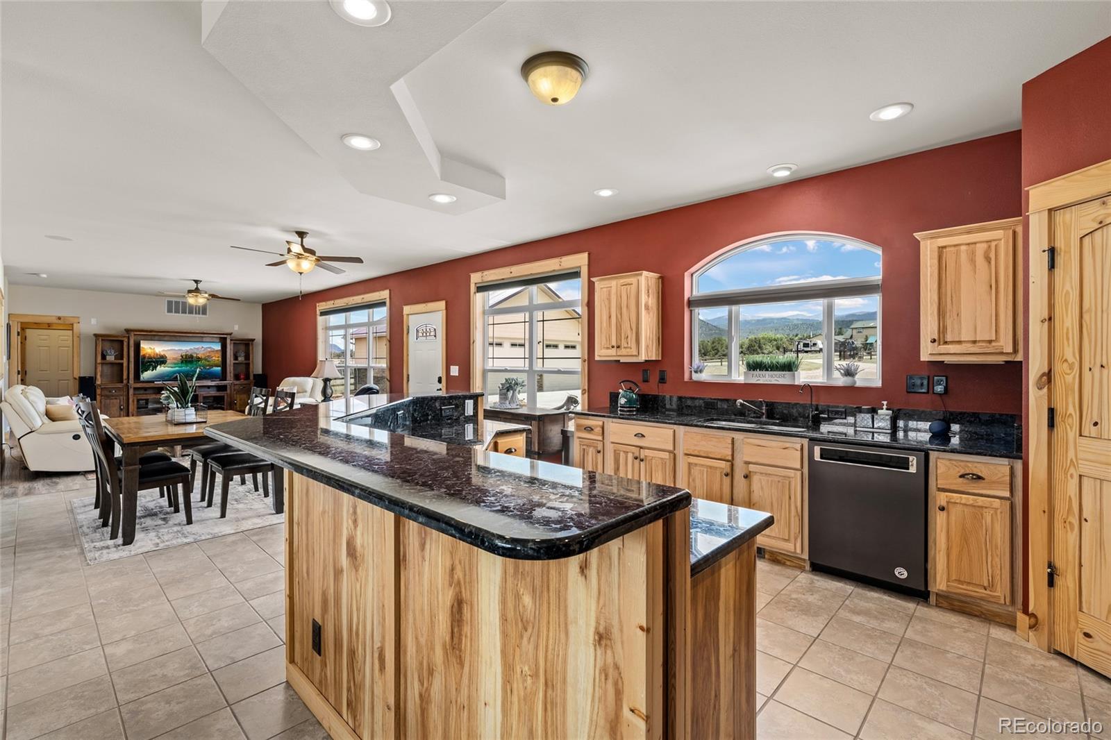 MLS Image #10 for 497 e blarney stone road,howard, Colorado