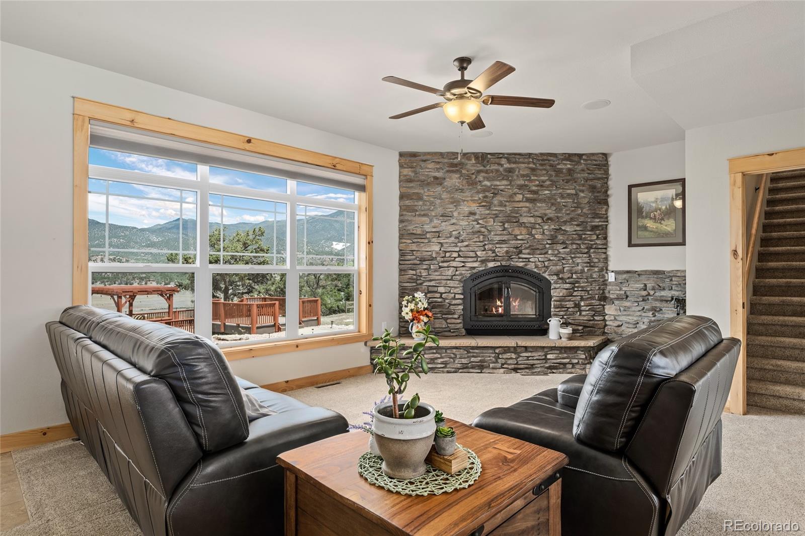 MLS Image #13 for 497 e blarney stone road,howard, Colorado