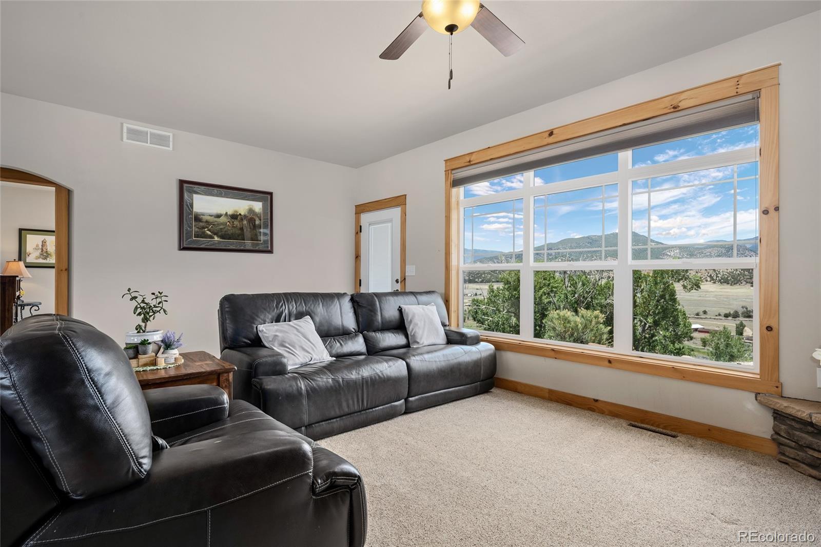 MLS Image #14 for 497 e blarney stone road,howard, Colorado