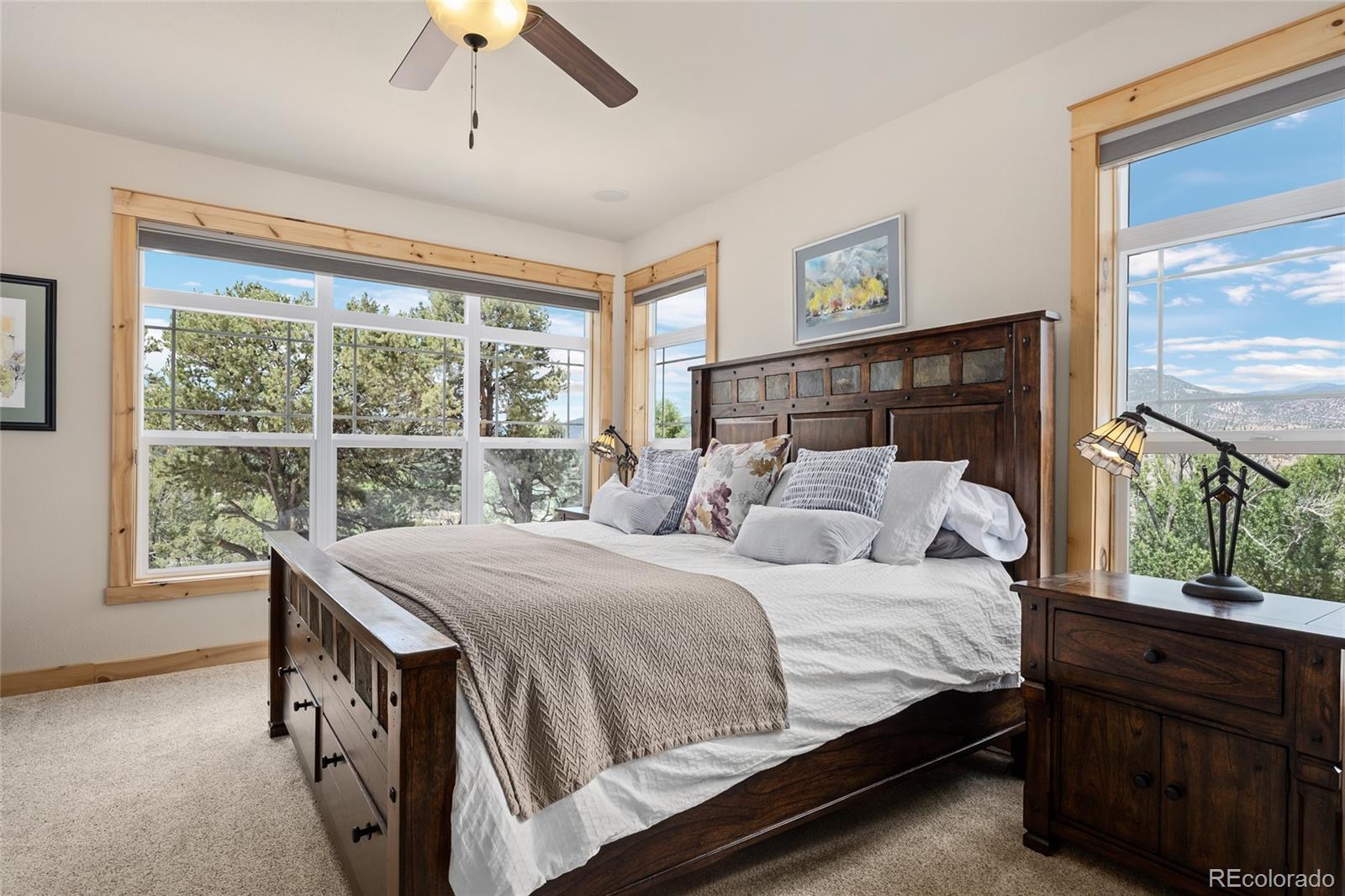 MLS Image #16 for 497 e blarney stone road,howard, Colorado