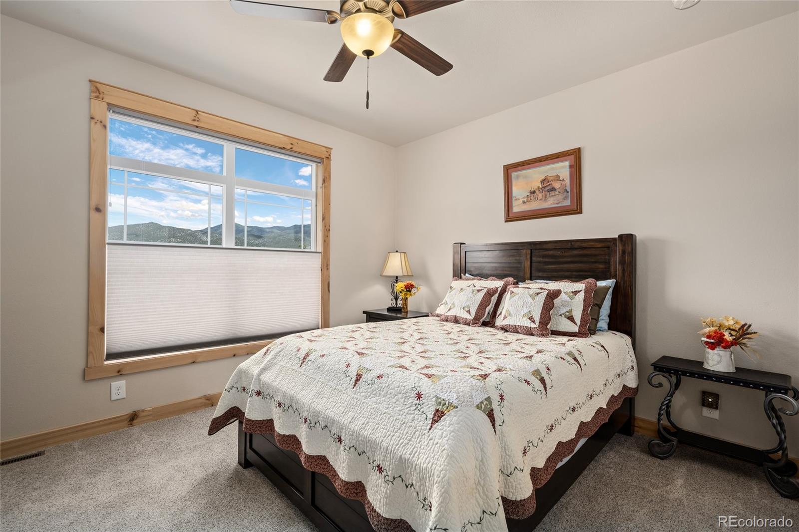 MLS Image #21 for 497 e blarney stone road,howard, Colorado