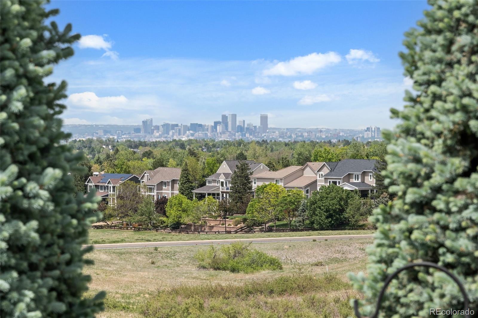 MLS Image #3 for 921  courtland place,highlands ranch, Colorado