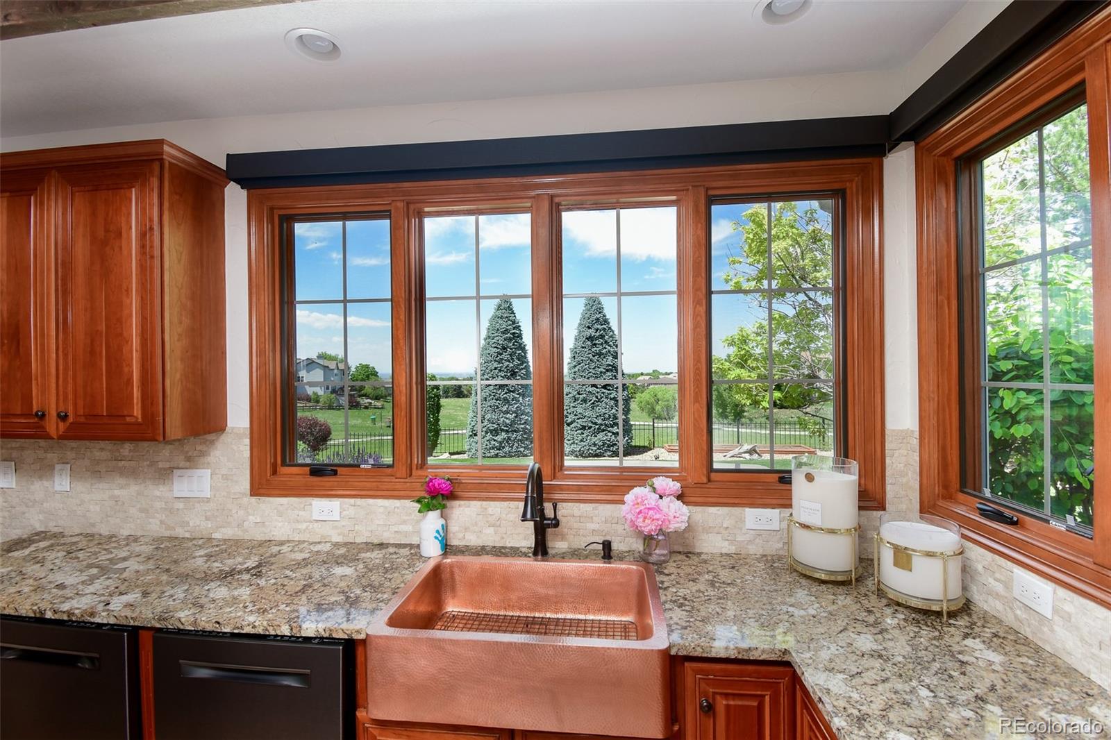 MLS Image #7 for 921  courtland place,highlands ranch, Colorado