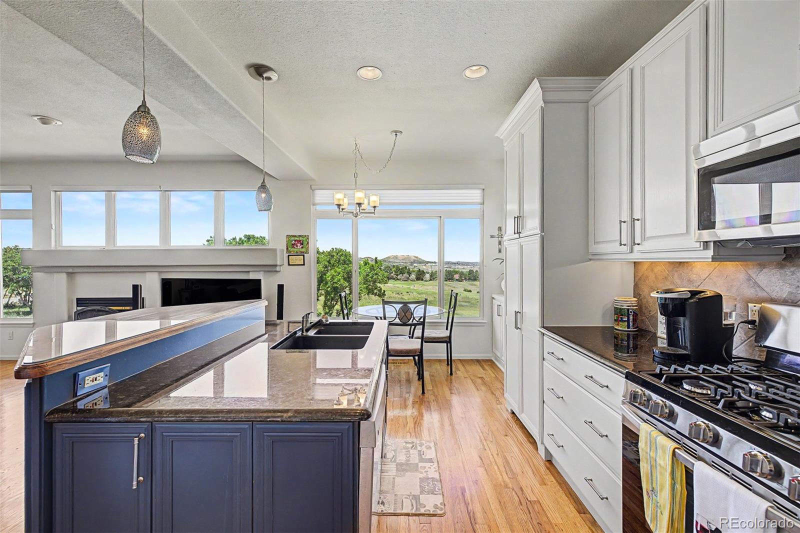 MLS Image #18 for 2113  brierly court,castle rock, Colorado