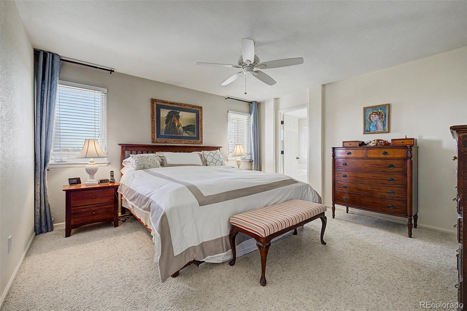 MLS Image #23 for 2113  brierly court,castle rock, Colorado