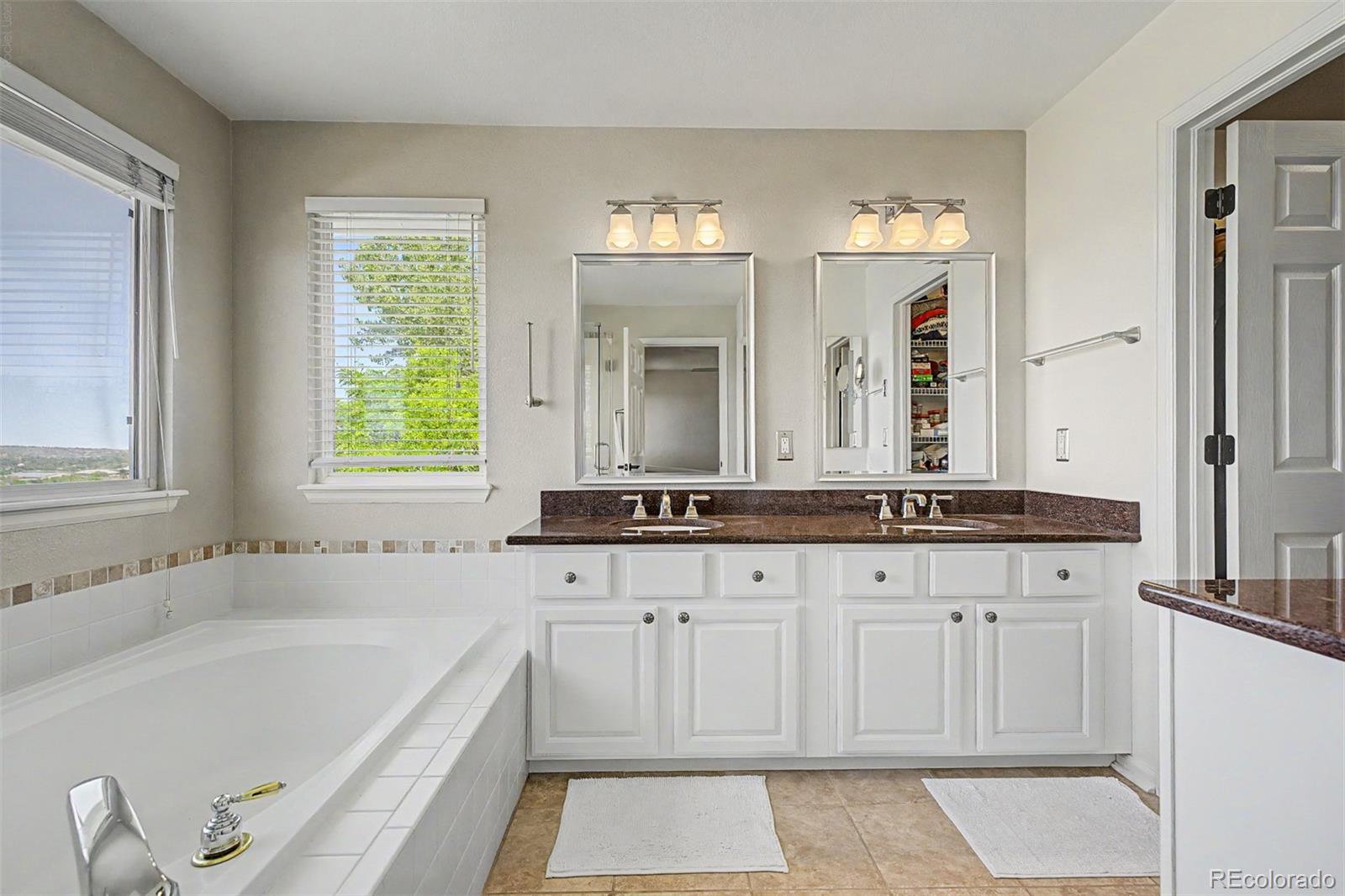 MLS Image #25 for 2113  brierly court,castle rock, Colorado