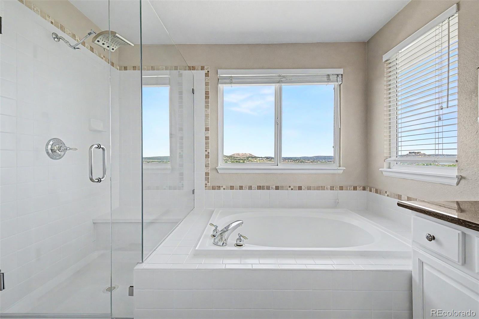 MLS Image #27 for 2113  brierly court,castle rock, Colorado
