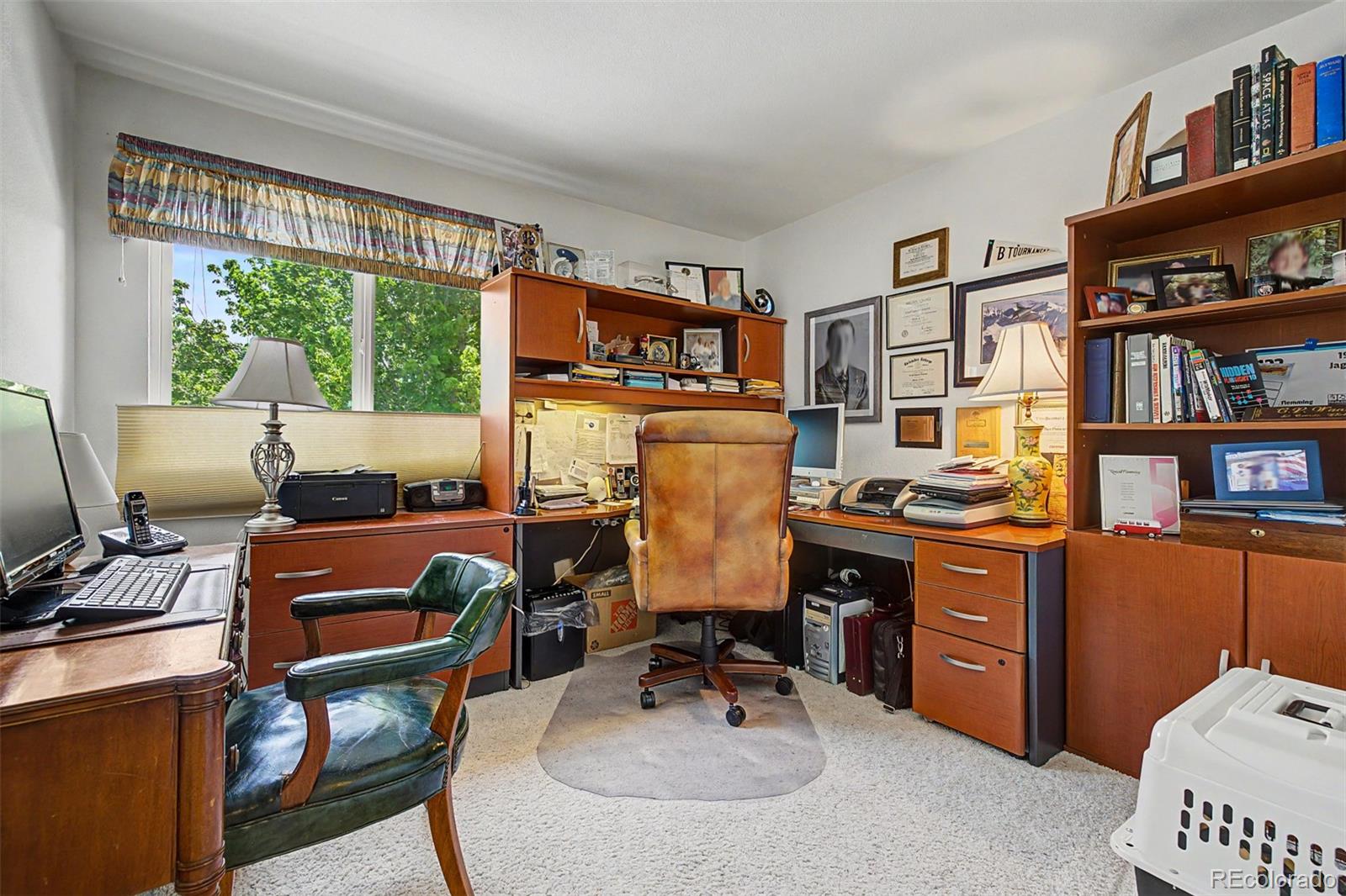MLS Image #29 for 2113  brierly court,castle rock, Colorado