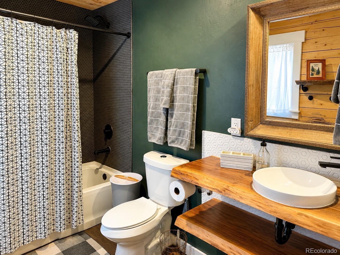 MLS Image #19 for 467  nuthatch drive,alma, Colorado