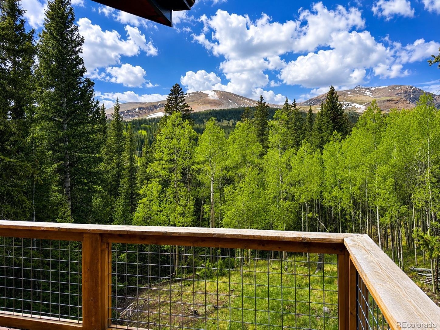 MLS Image #2 for 467  nuthatch drive,alma, Colorado
