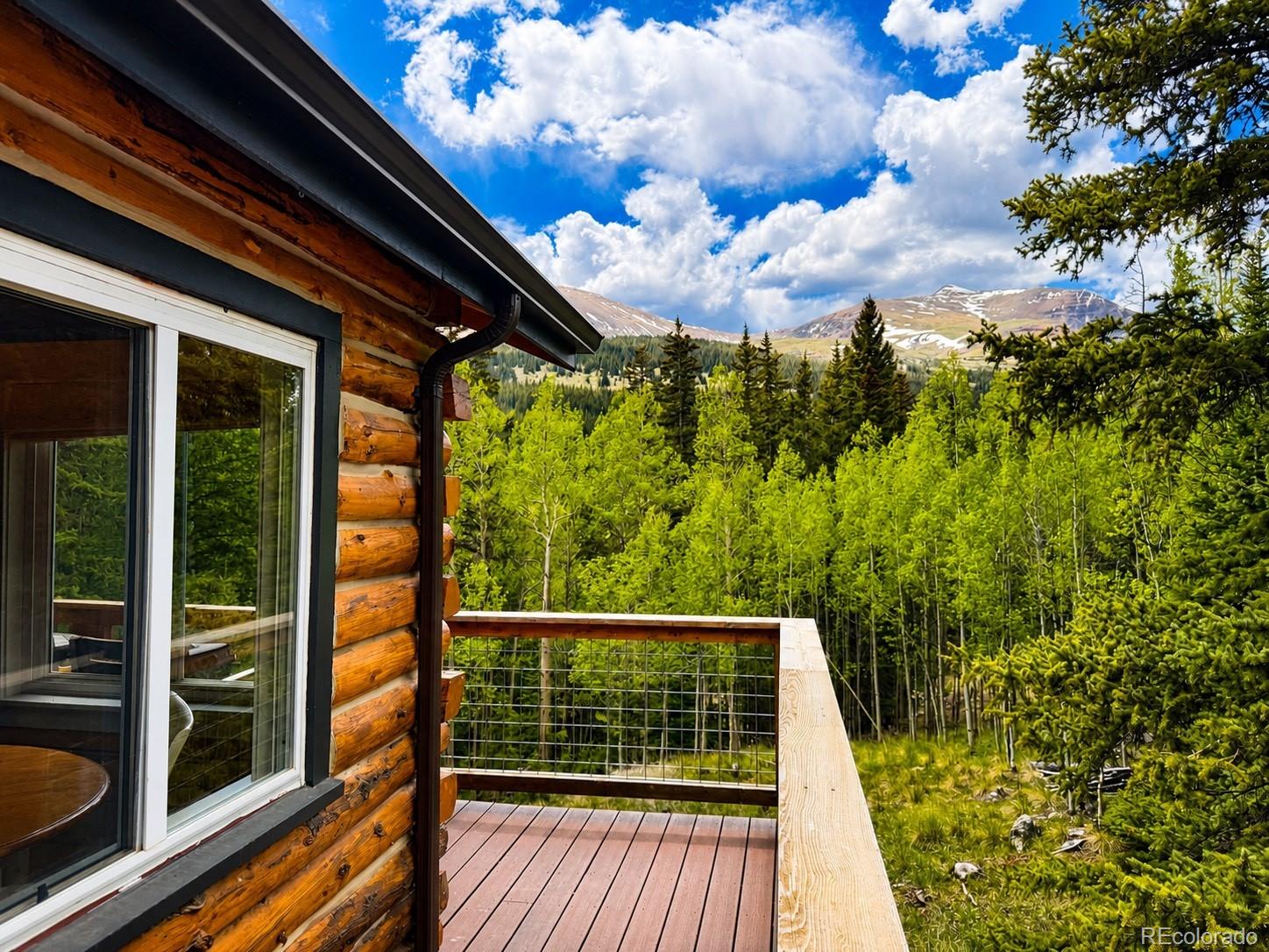 MLS Image #3 for 467  nuthatch drive,alma, Colorado