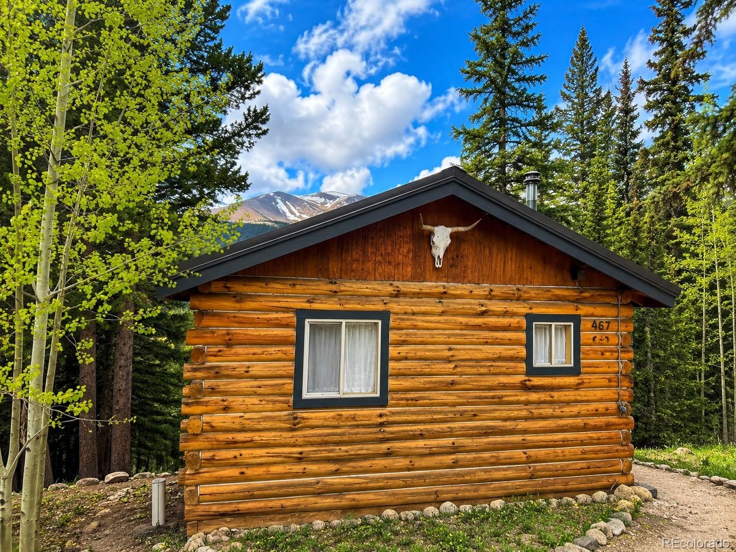 MLS Image #5 for 467  nuthatch drive,alma, Colorado