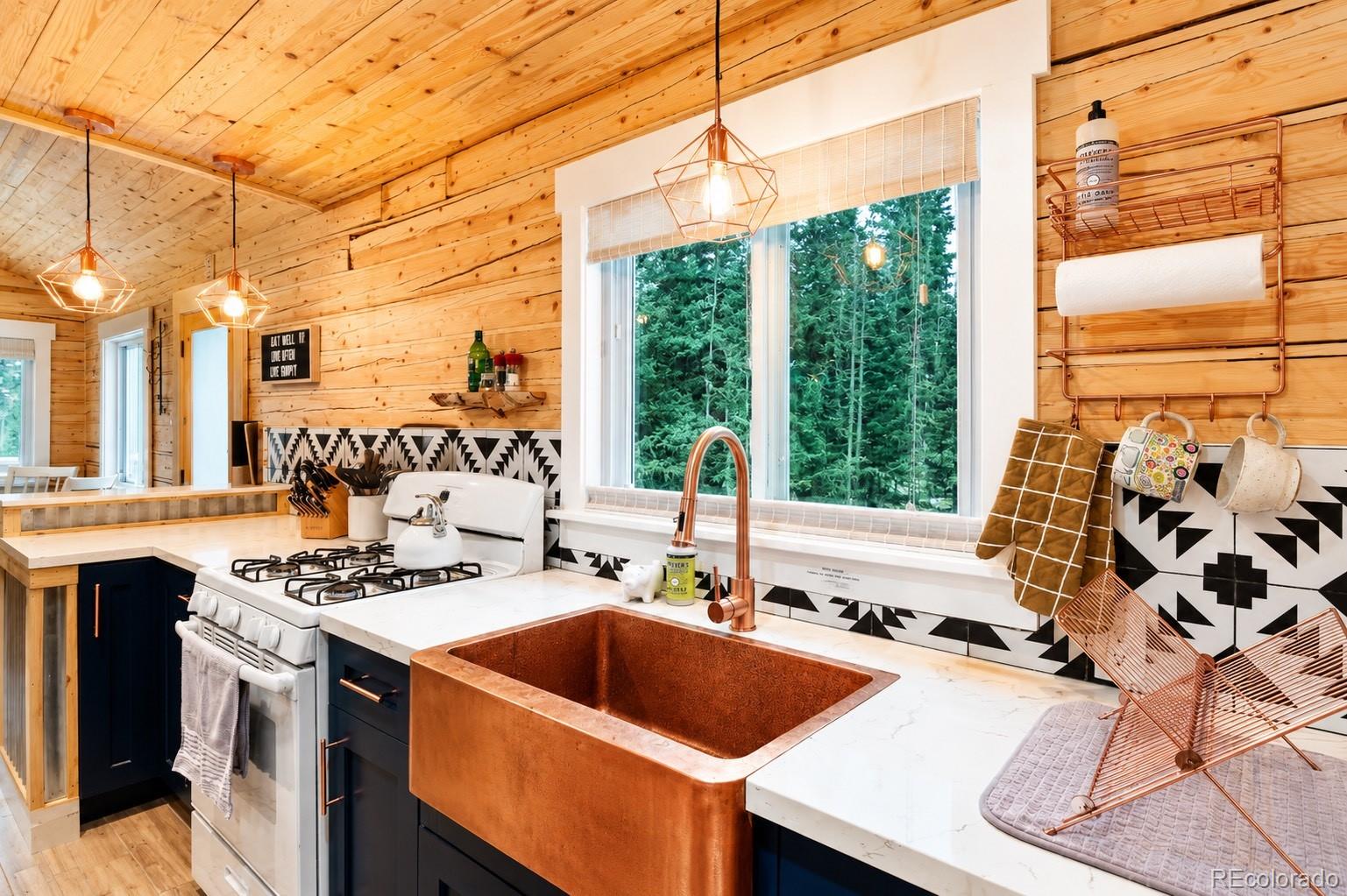 MLS Image #7 for 467  nuthatch drive,alma, Colorado