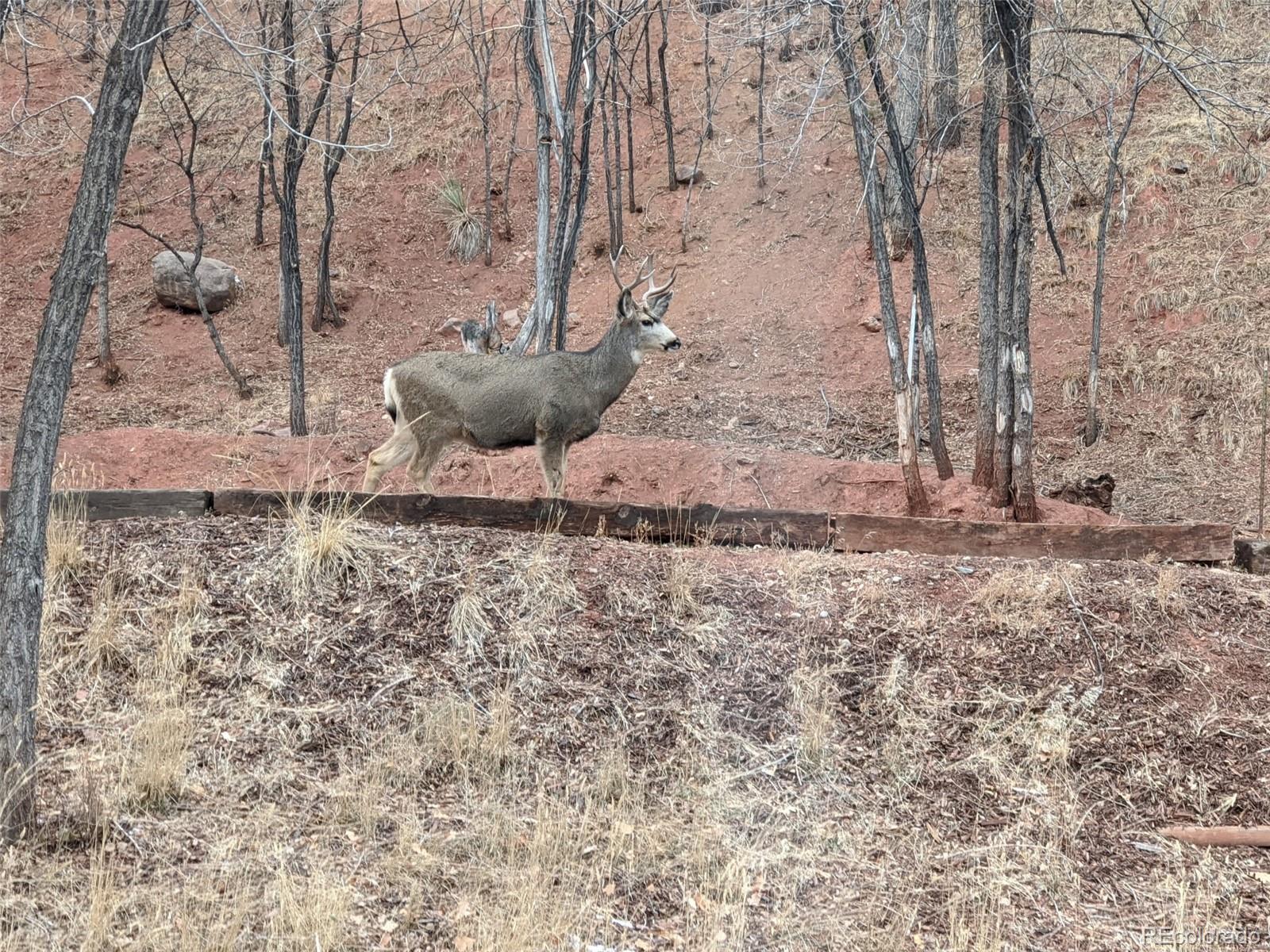 MLS Image #43 for 344  plainview place,manitou springs, Colorado