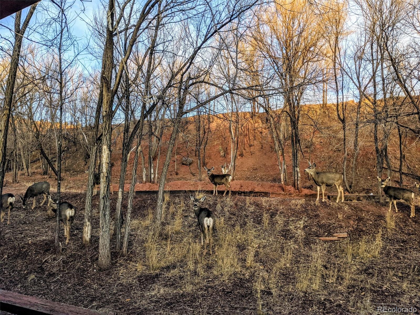 MLS Image #44 for 344  plainview place,manitou springs, Colorado