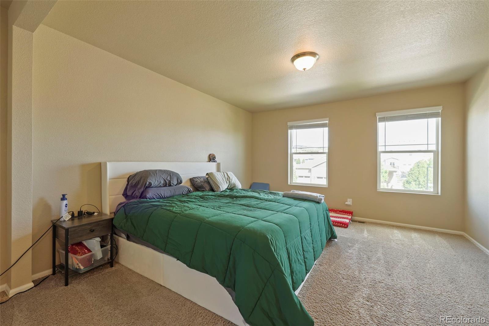 MLS Image #21 for 5958  high timber circle,castle rock, Colorado
