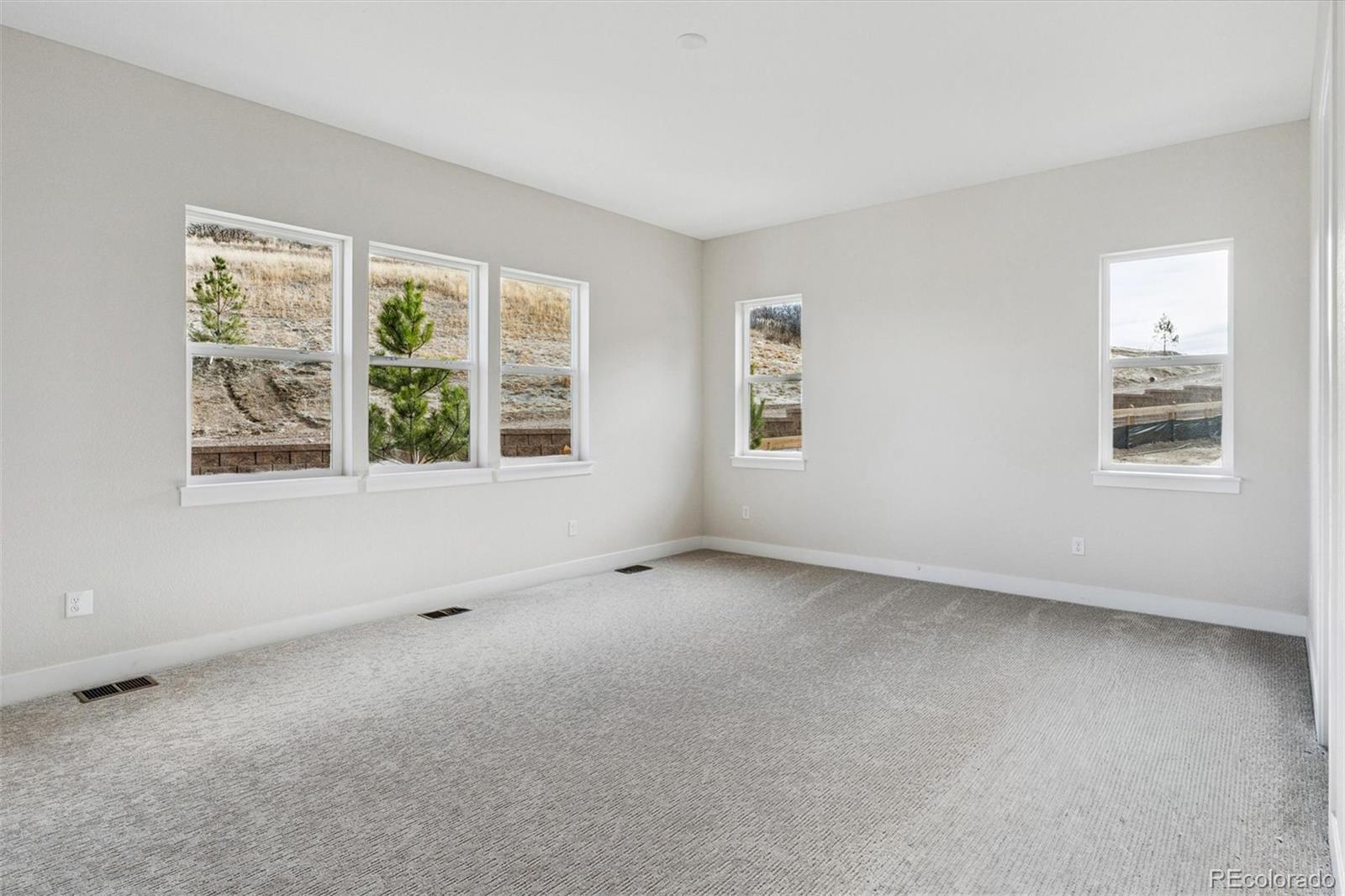 MLS Image #16 for 1276  oleander street,castle rock, Colorado
