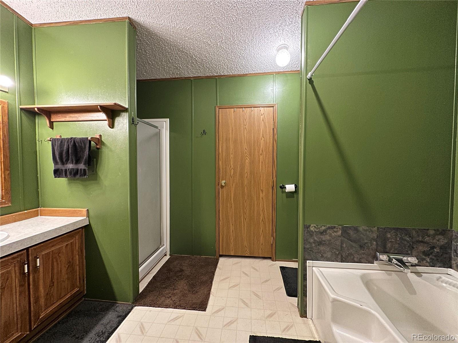 MLS Image #11 for 45  la abu trail,florissant, Colorado