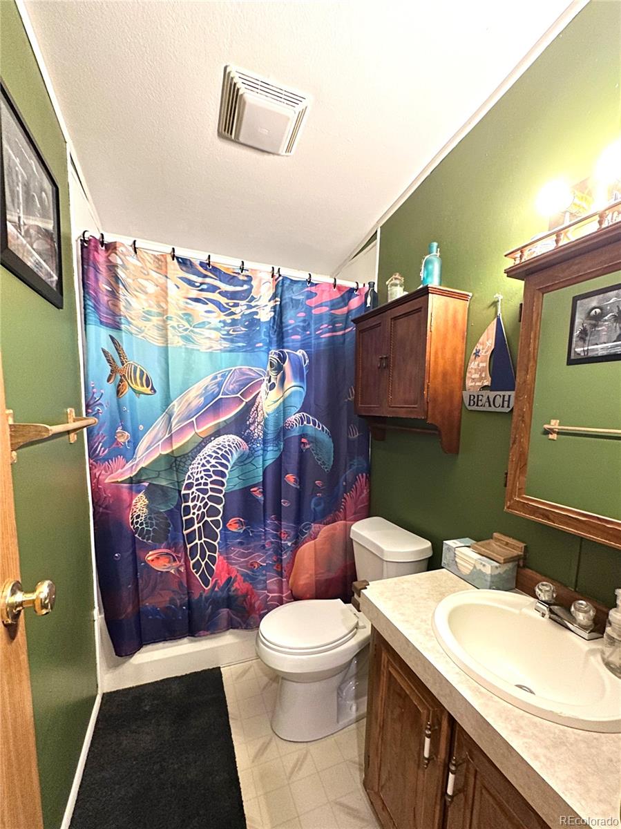 MLS Image #12 for 45  la abu trail,florissant, Colorado
