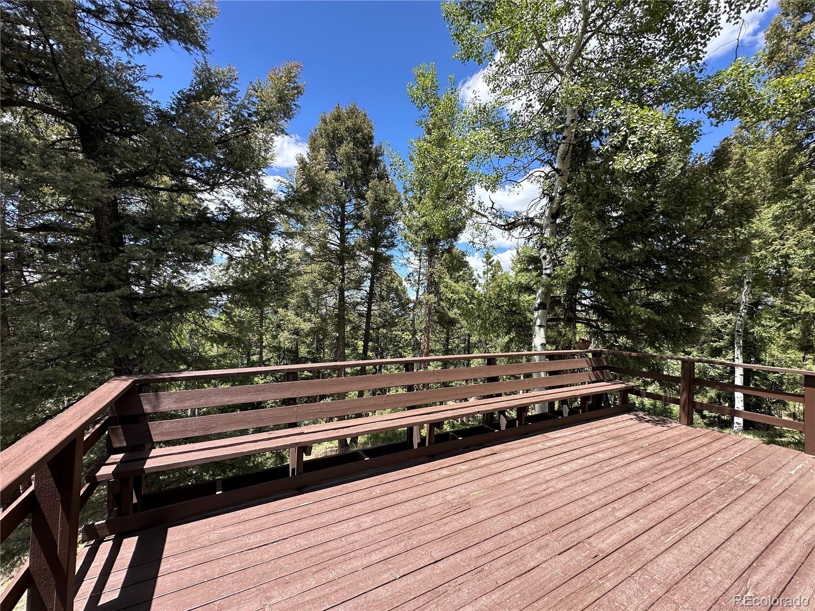 MLS Image #13 for 45  la abu trail,florissant, Colorado