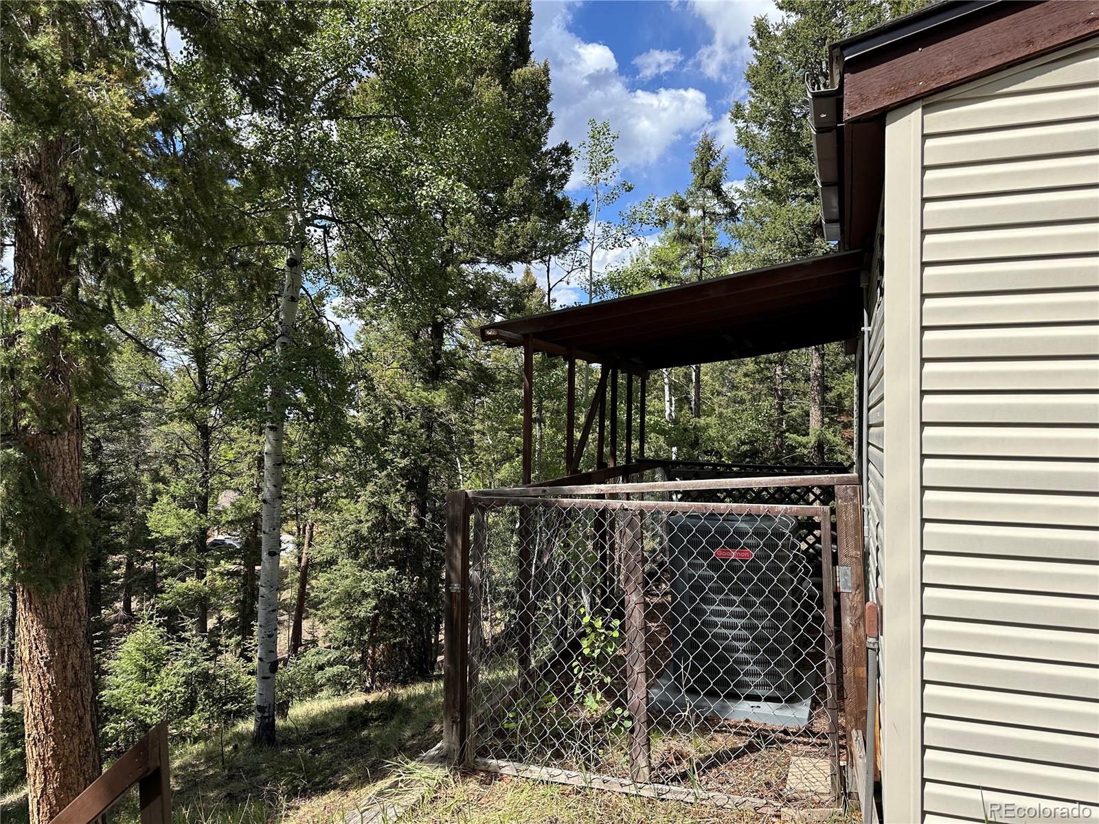 MLS Image #19 for 45  la abu trail,florissant, Colorado
