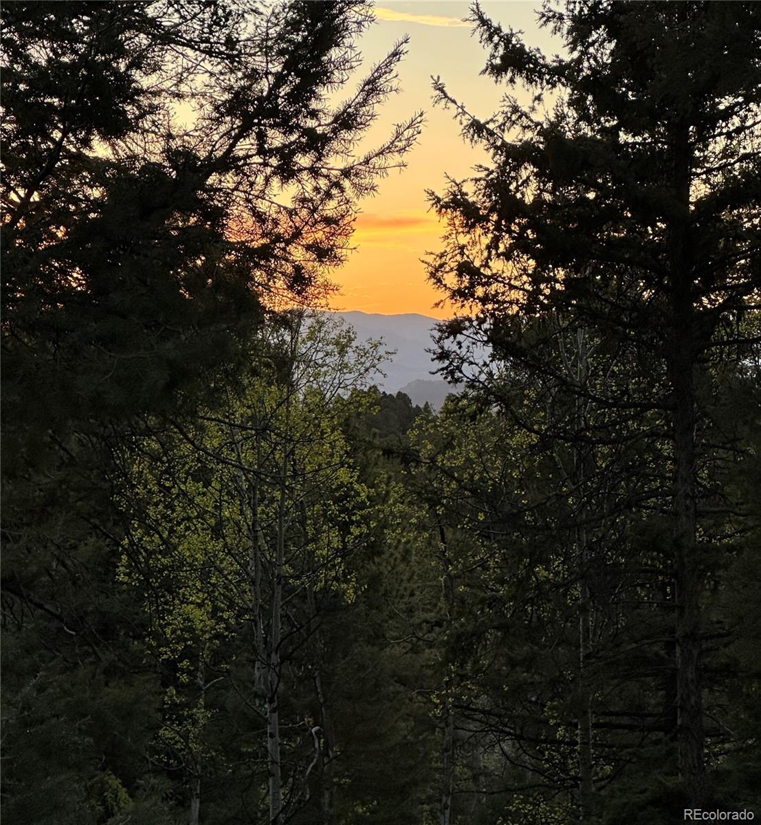 MLS Image #20 for 45  la abu trail,florissant, Colorado