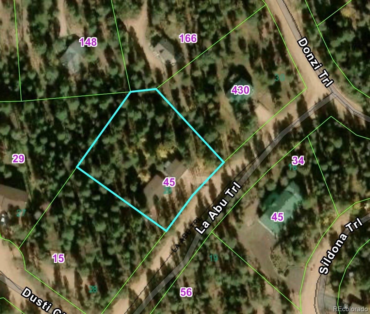 MLS Image #23 for 45  la abu trail,florissant, Colorado