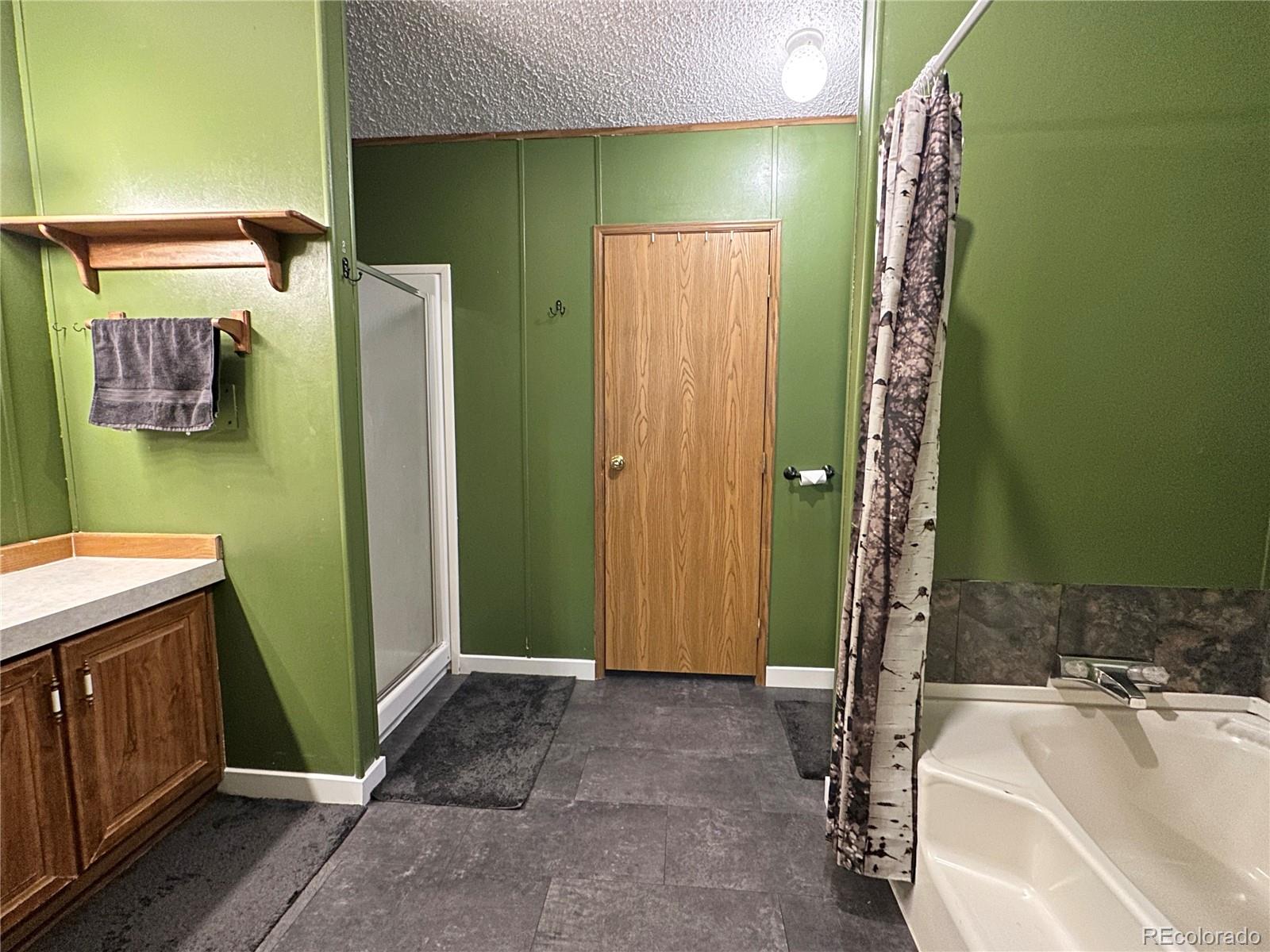 MLS Image #24 for 45  la abu trail,florissant, Colorado
