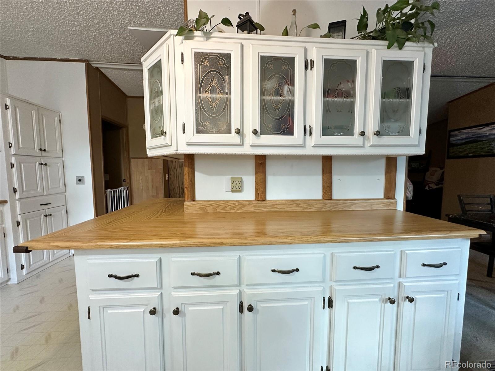 MLS Image #3 for 45  la abu trail,florissant, Colorado