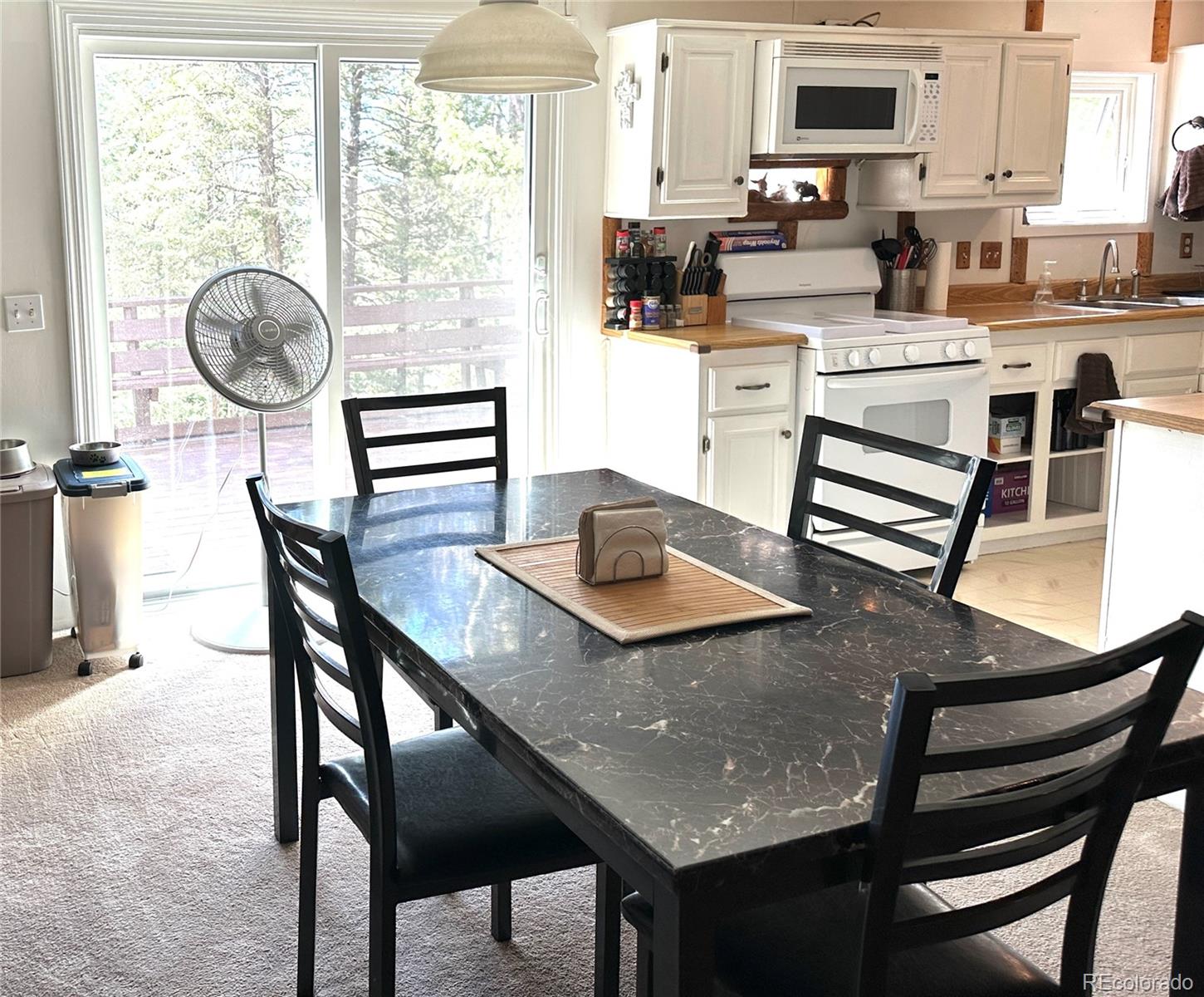 MLS Image #4 for 45  la abu trail,florissant, Colorado