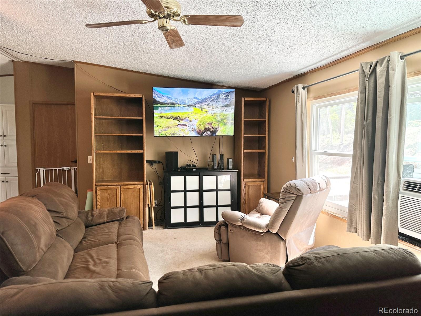 MLS Image #5 for 45  la abu trail,florissant, Colorado