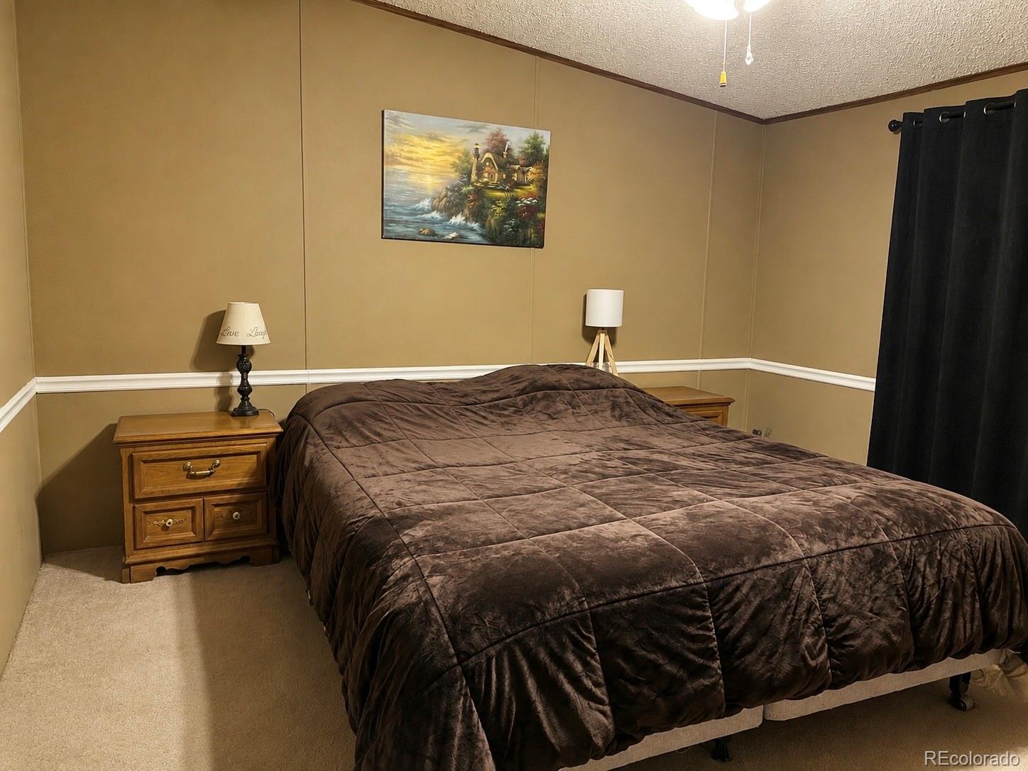 MLS Image #7 for 45  la abu trail,florissant, Colorado