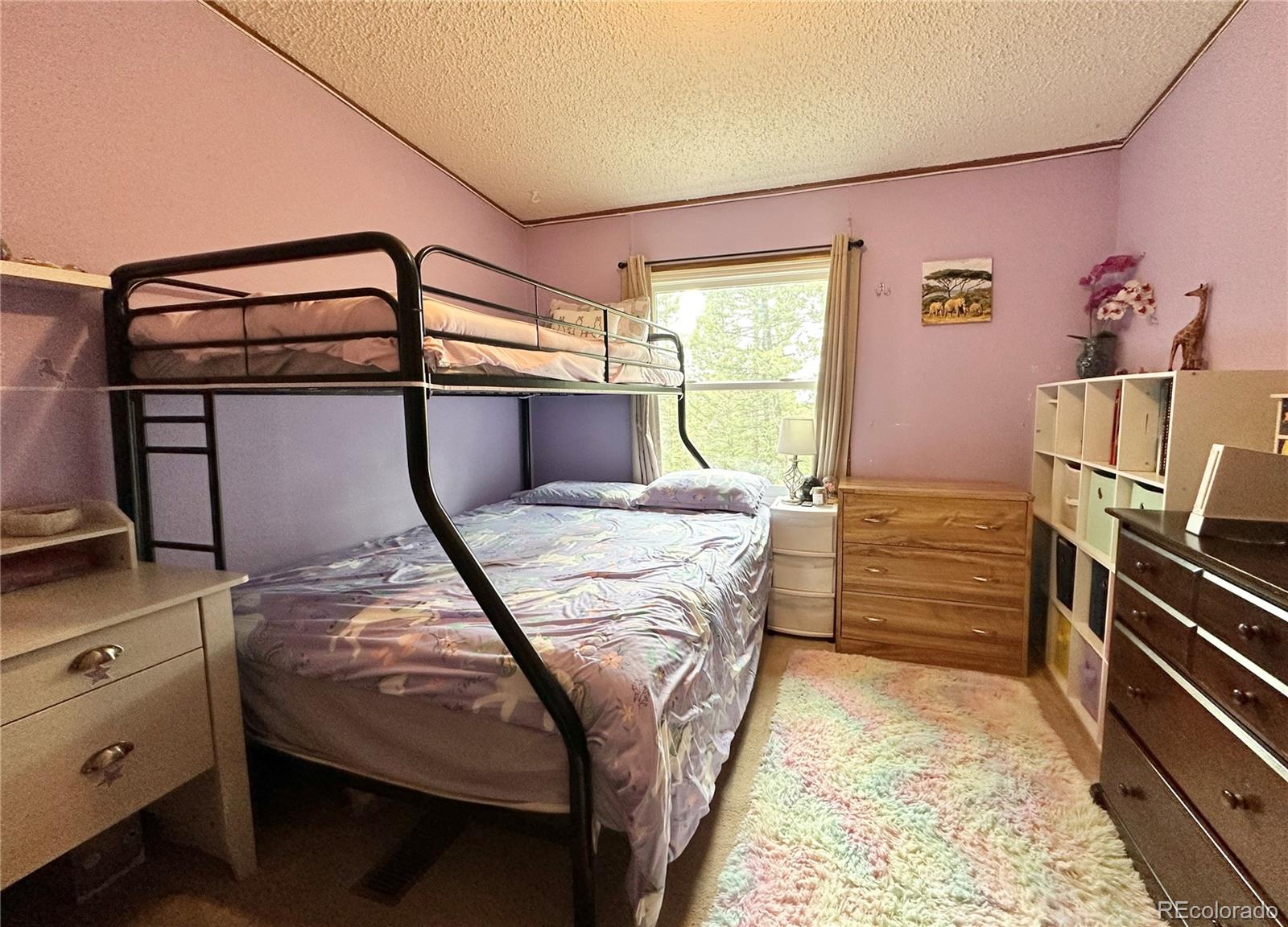 MLS Image #8 for 45  la abu trail,florissant, Colorado