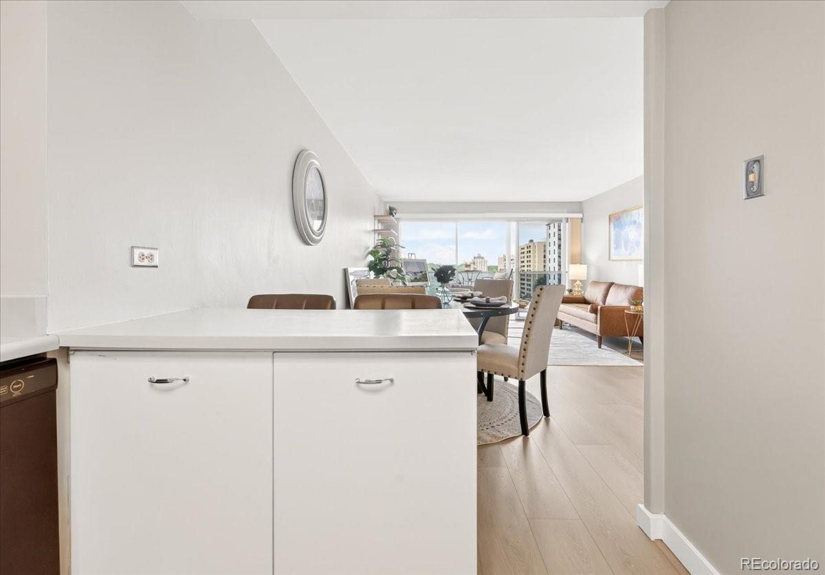 MLS Image #12 for 888 n logan street 10d,denver, Colorado