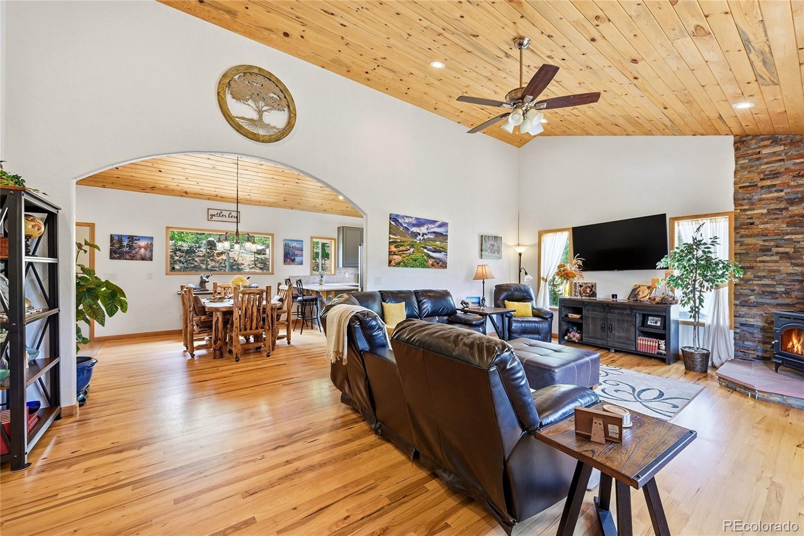 MLS Image #10 for 705  gold flake terrace,bailey, Colorado