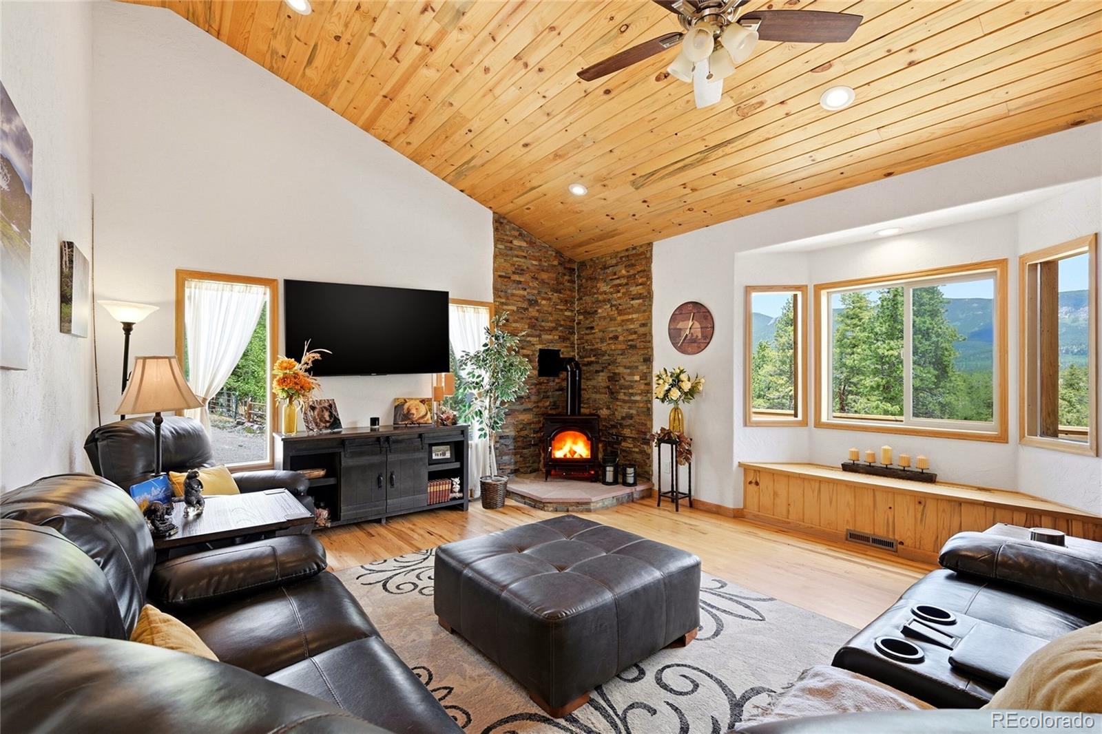 MLS Image #13 for 705  gold flake terrace,bailey, Colorado