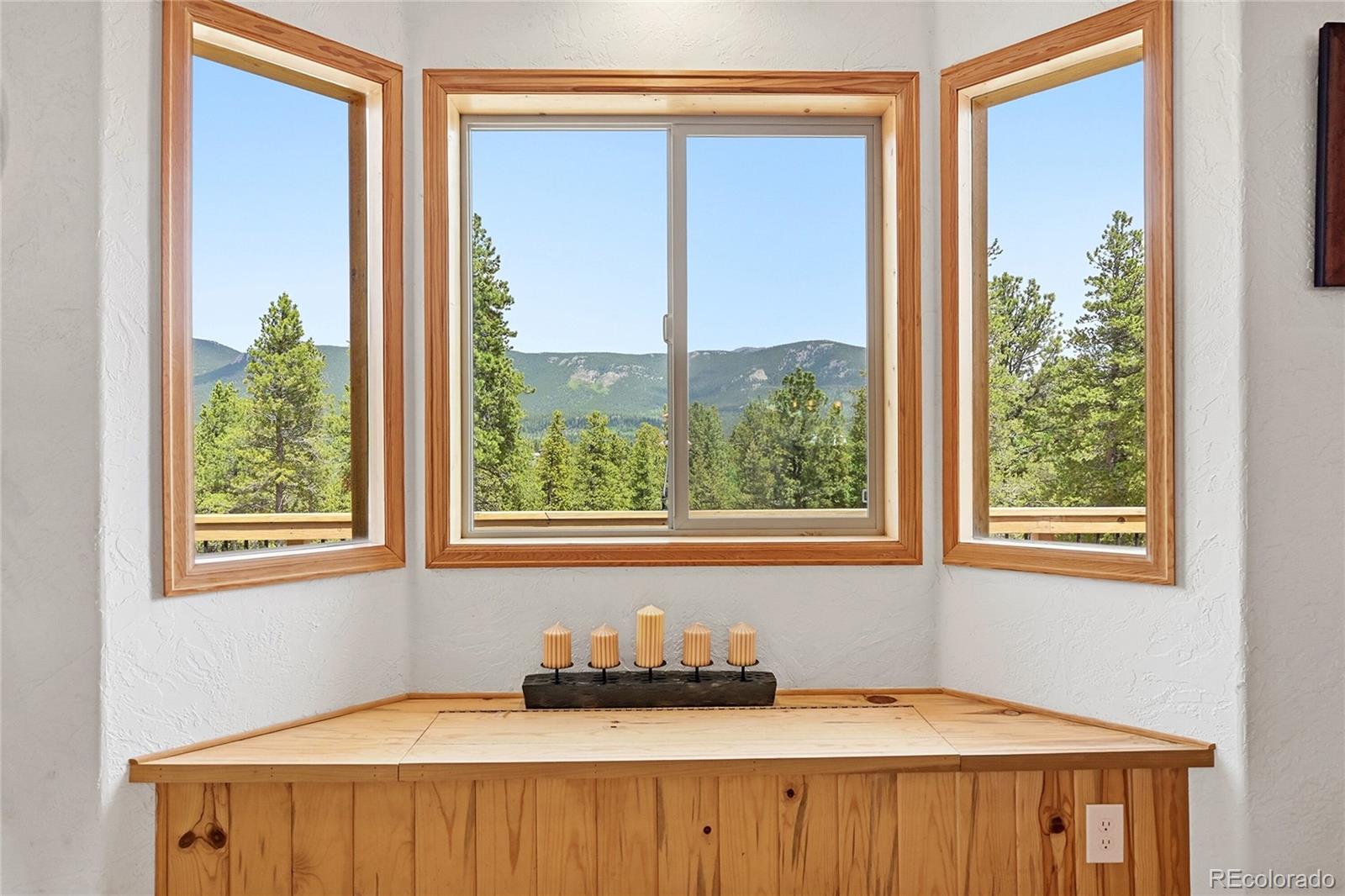 MLS Image #14 for 705  gold flake terrace,bailey, Colorado