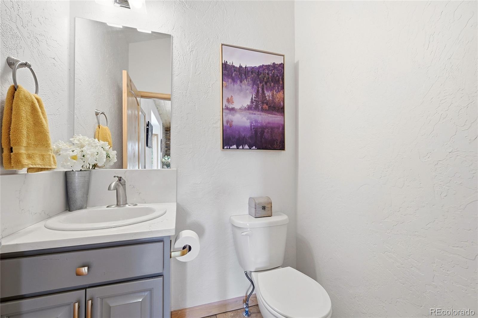 MLS Image #16 for 705  gold flake terrace,bailey, Colorado
