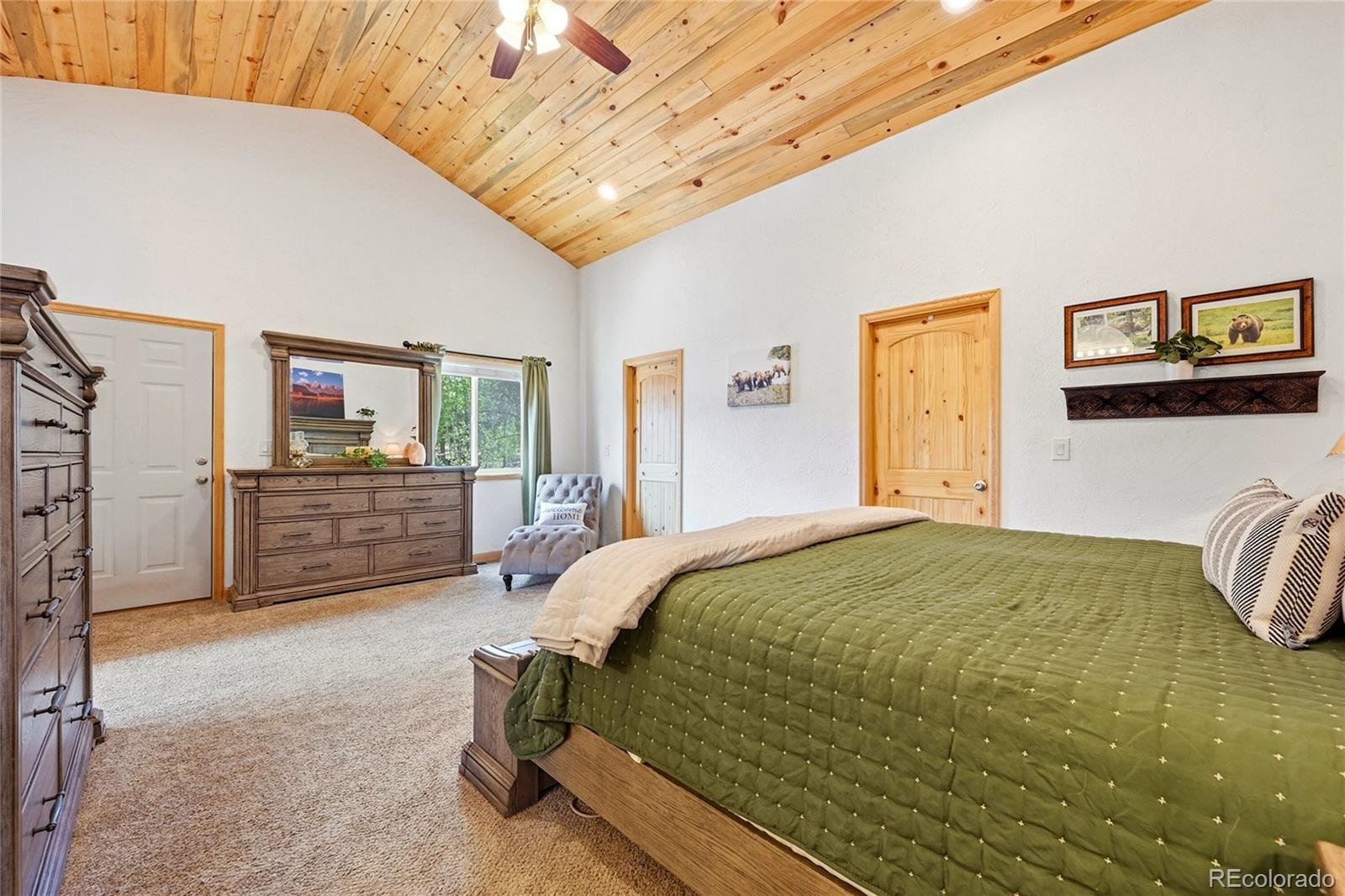 MLS Image #17 for 705  gold flake terrace,bailey, Colorado