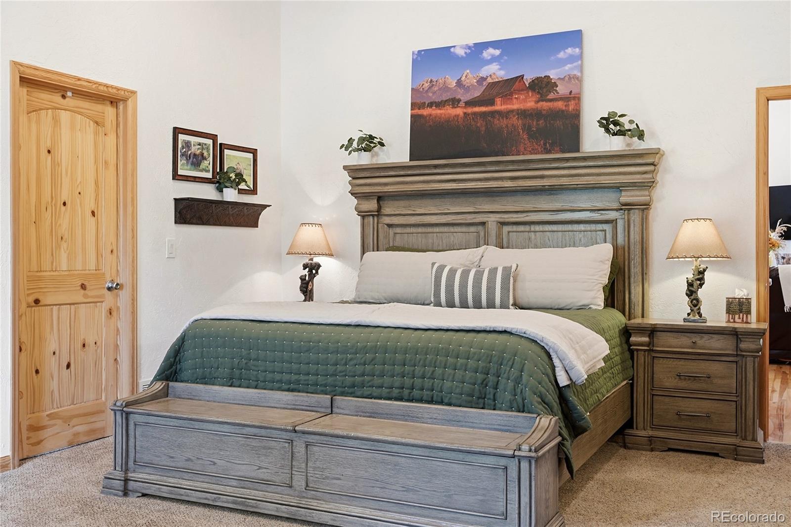 MLS Image #18 for 705  gold flake terrace,bailey, Colorado