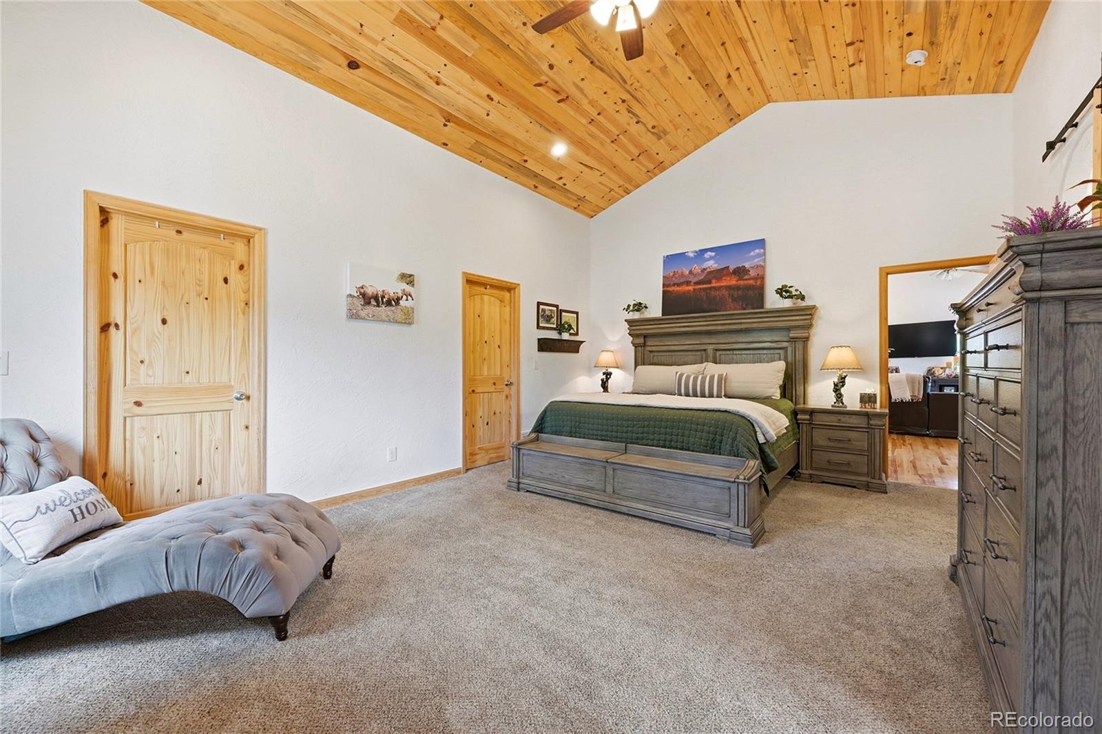 MLS Image #19 for 705  gold flake terrace,bailey, Colorado