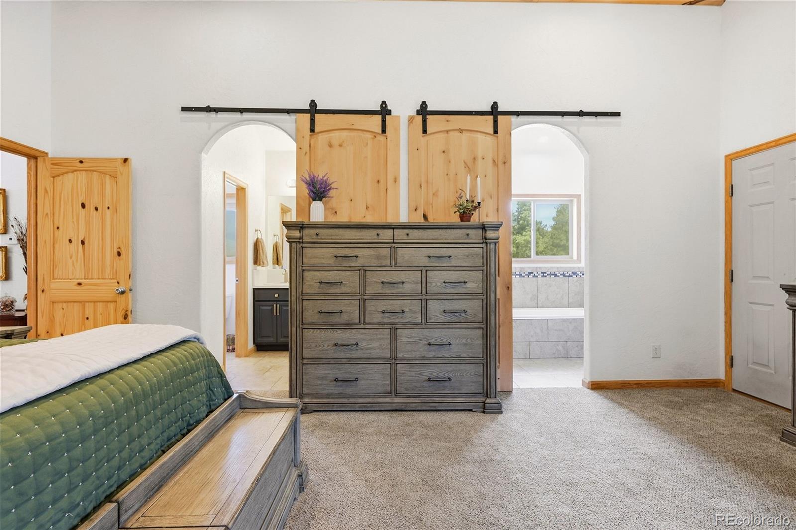 MLS Image #21 for 705  gold flake terrace,bailey, Colorado