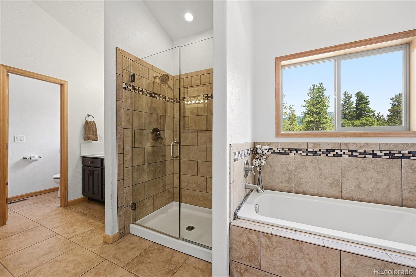 MLS Image #23 for 705  gold flake terrace,bailey, Colorado