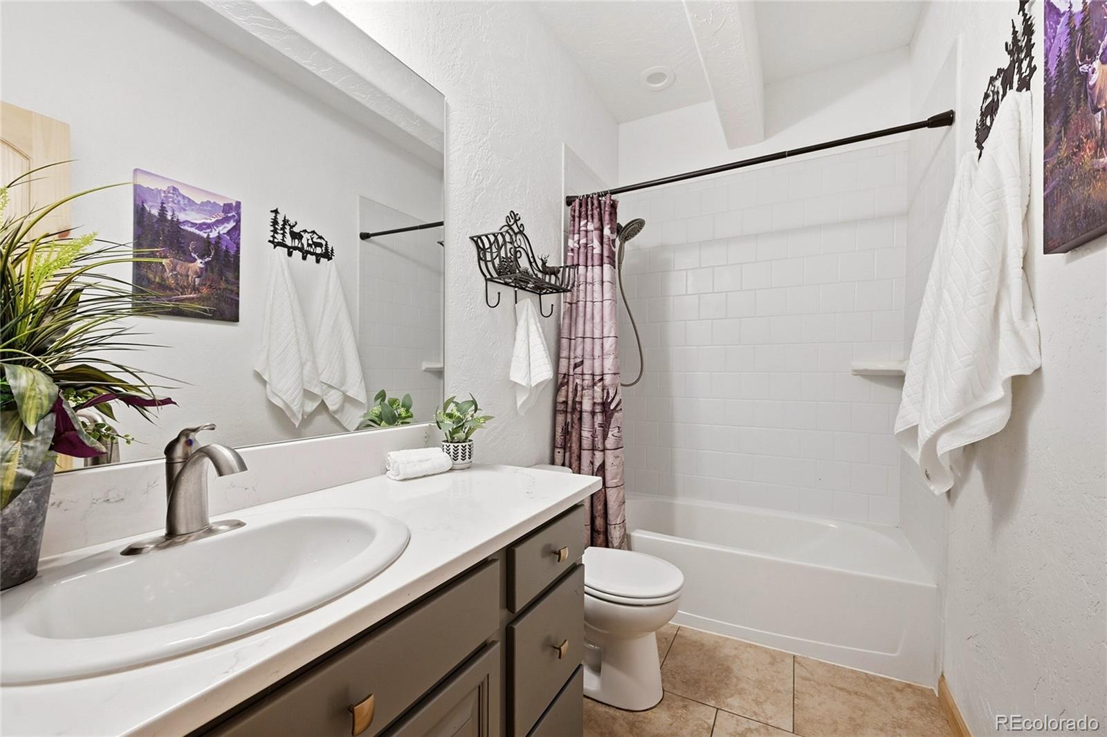 MLS Image #28 for 705  gold flake terrace,bailey, Colorado