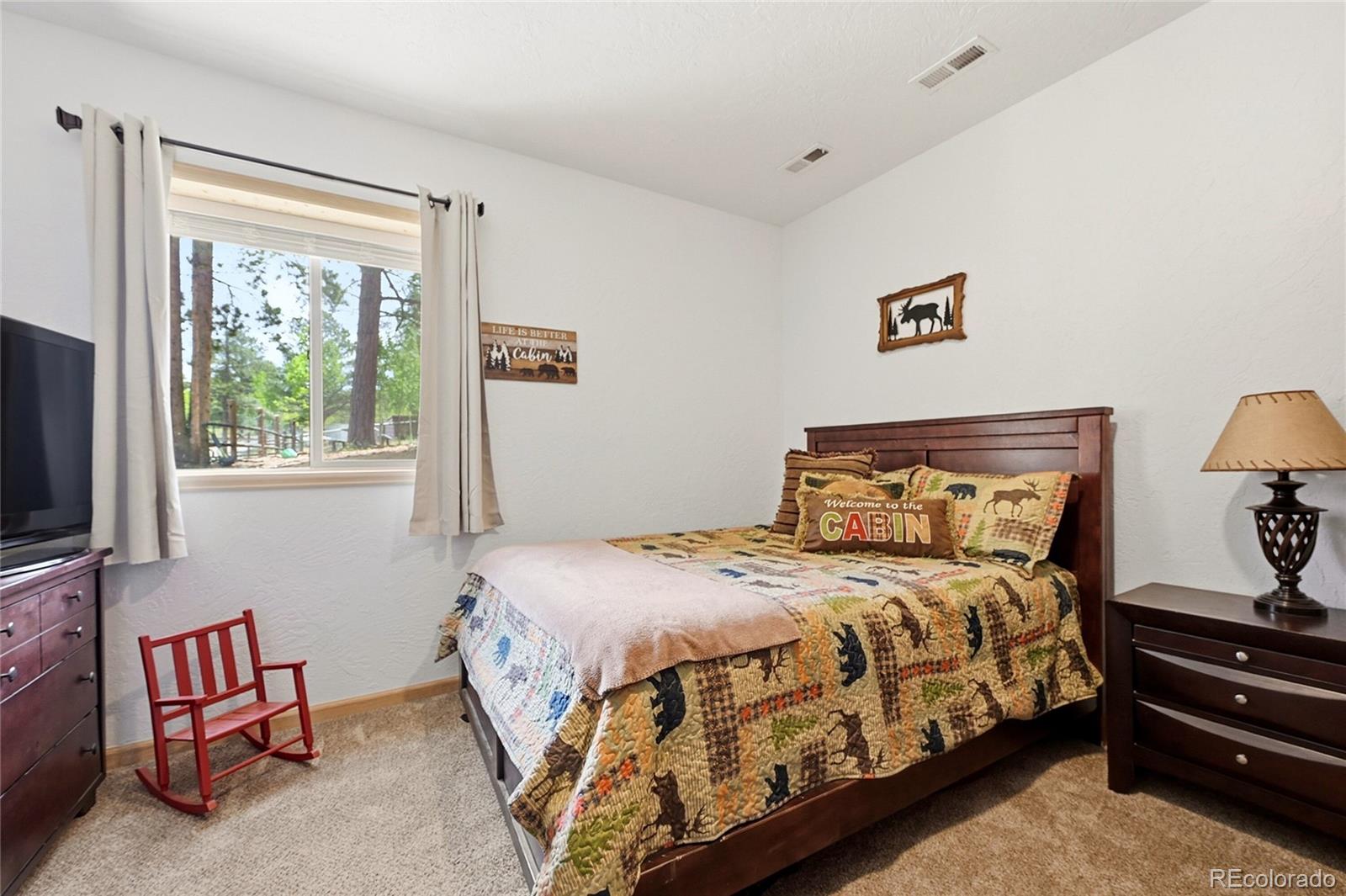 MLS Image #30 for 705  gold flake terrace,bailey, Colorado