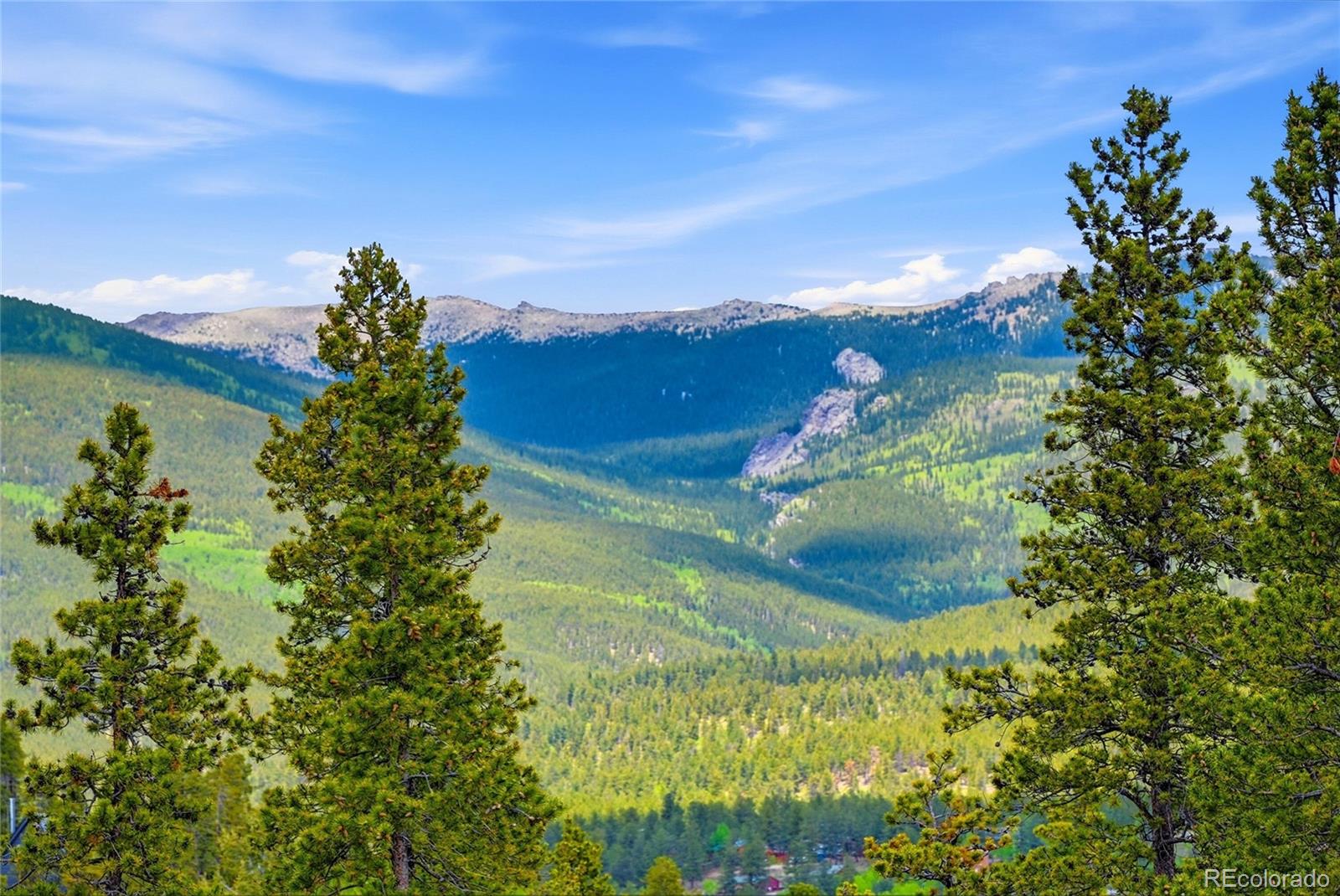 MLS Image #33 for 705  gold flake terrace,bailey, Colorado