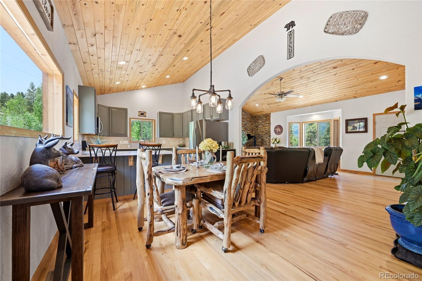 MLS Image #4 for 705  gold flake terrace,bailey, Colorado
