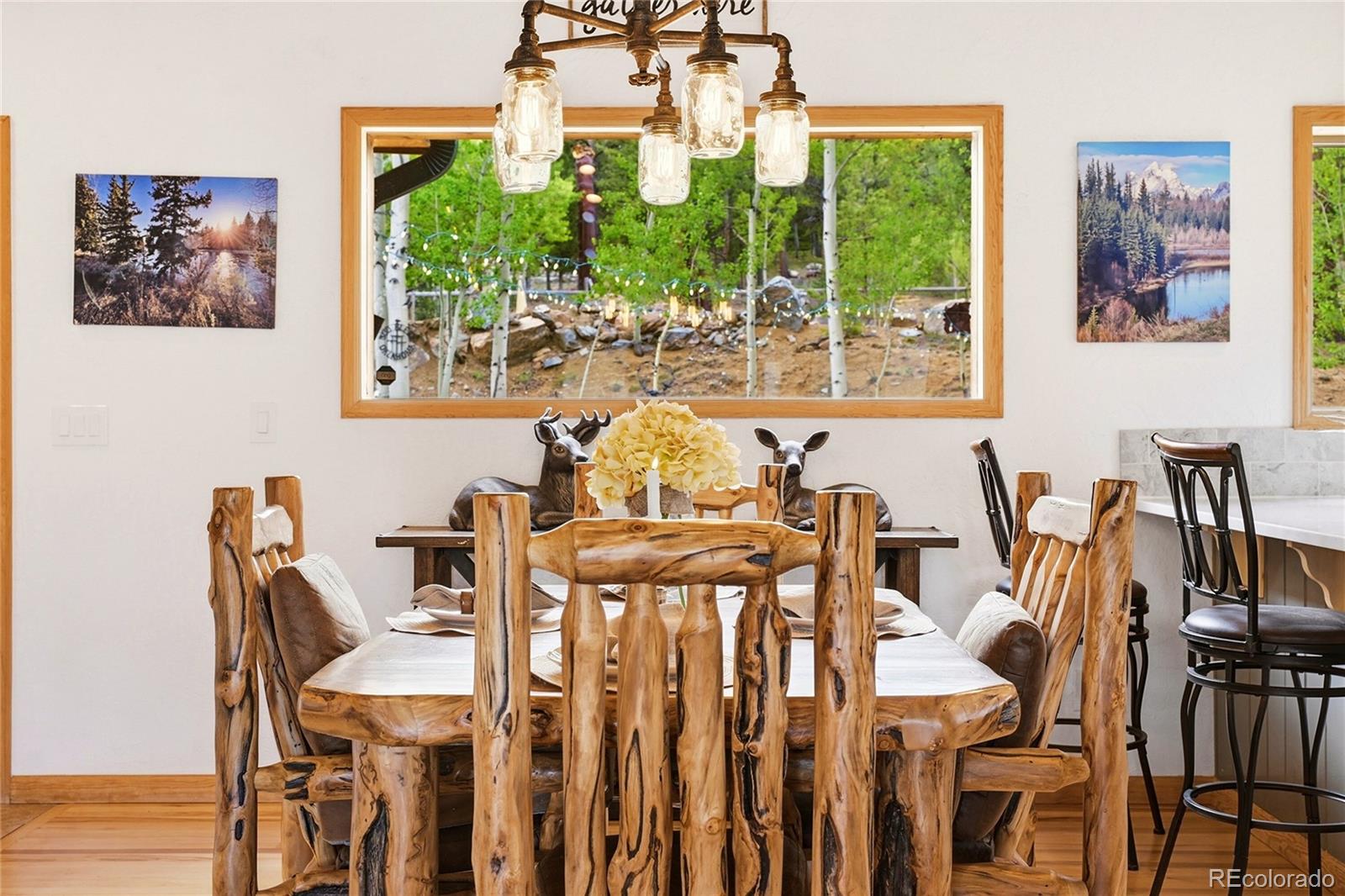 MLS Image #6 for 705  gold flake terrace,bailey, Colorado