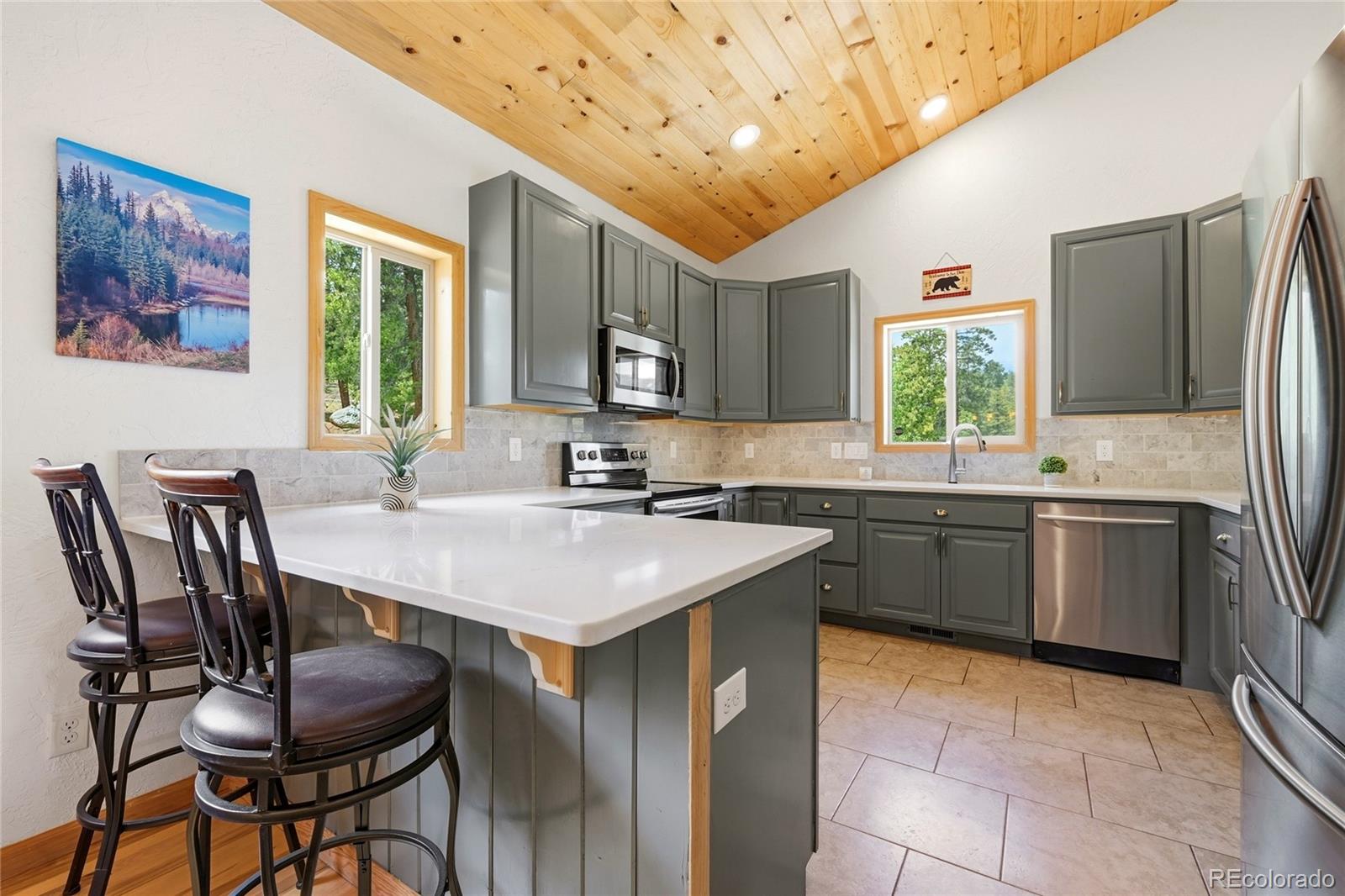 MLS Image #7 for 705  gold flake terrace,bailey, Colorado