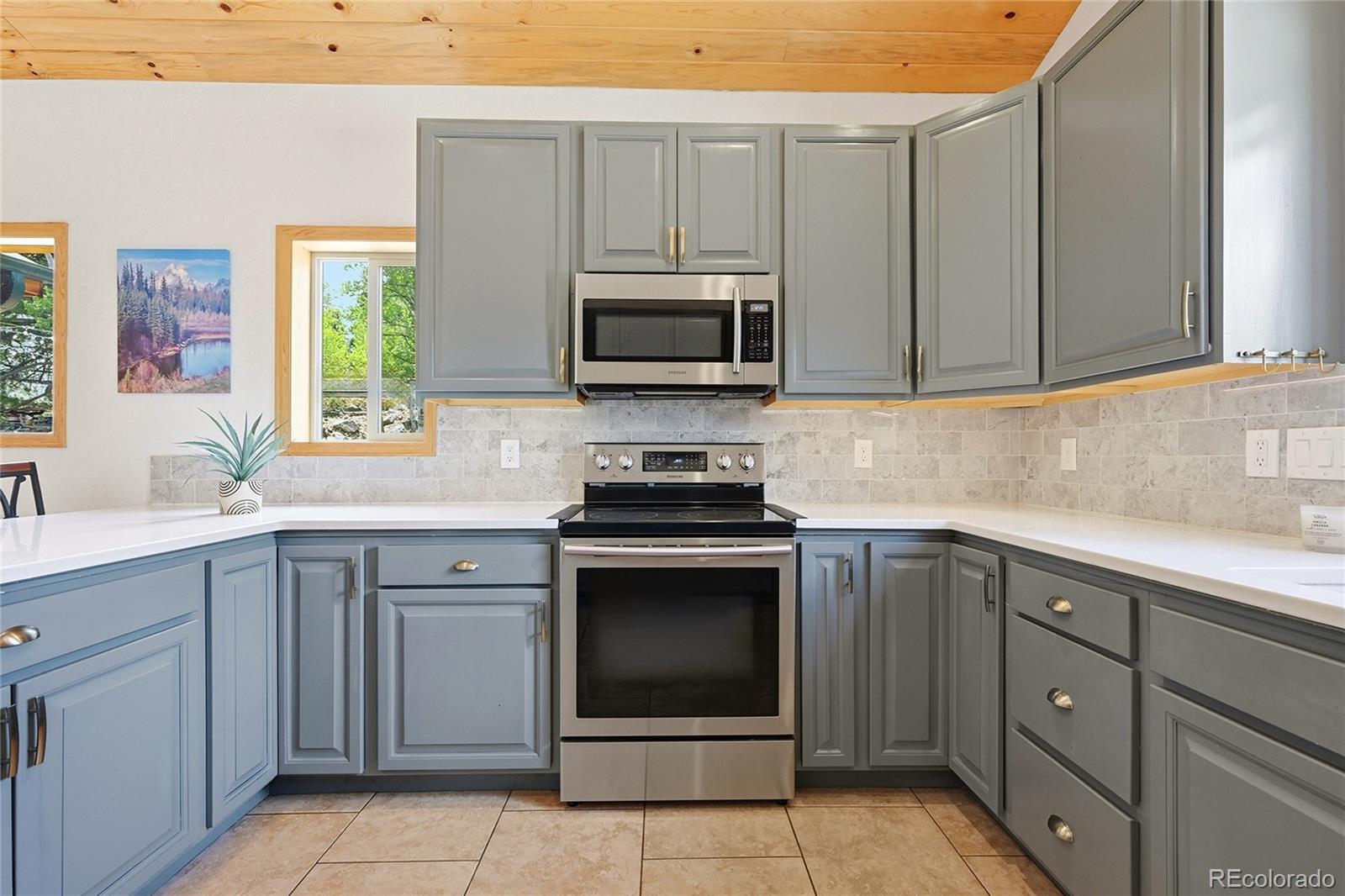 MLS Image #8 for 705  gold flake terrace,bailey, Colorado